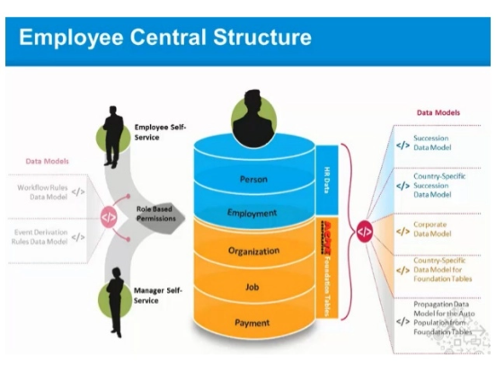 Illustration of Employee Central Structure in HR management, featuring 'HR Data' cylinder with Person, Employment, Organization, Job, Payment sections, Employee and Manager Self-Service roles, and detailed data models, highlighted by role-based permissions connections, against a bright blue background.